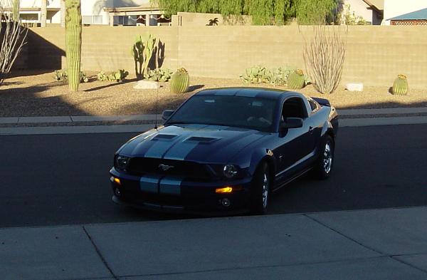 A ? for those GT500 conversions...-05205.jpg