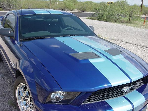 A ? for those GT500 conversions...-05070.jpg