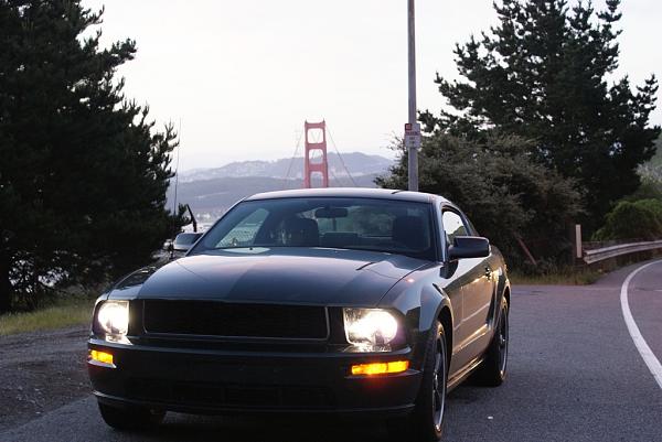 A year with the Stang...-dsc03918.jpg