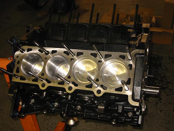 Don's '08 Shelby GT500- 1000 HP block!-img_3606.jpg