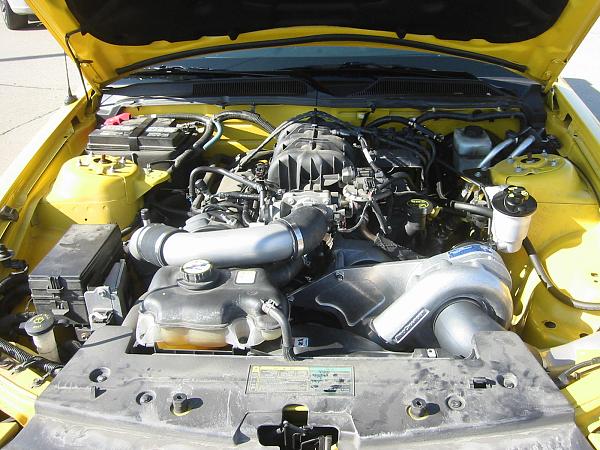 Modular Depot supercharges a V6 Mustang-img_3554.jpg