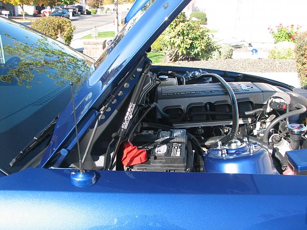 Some questions about hood struts.-img_0001_1.jpg