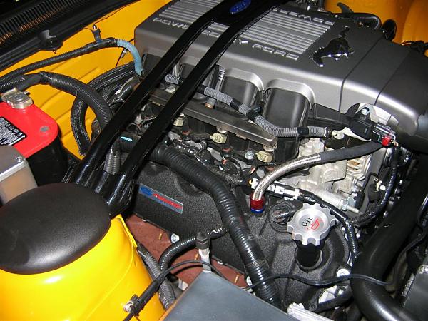 valve covers powercoated to match the plenum + new strut bar-img_0041-large-.jpg