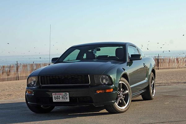 I love Spring - ponys are out-2010-chicago-auto-show-014.jpg