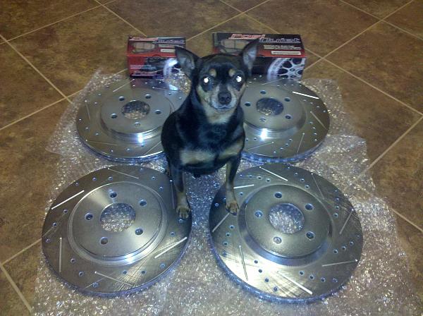 Latest round of mods:-2010-03-27-11.54.49.jpg