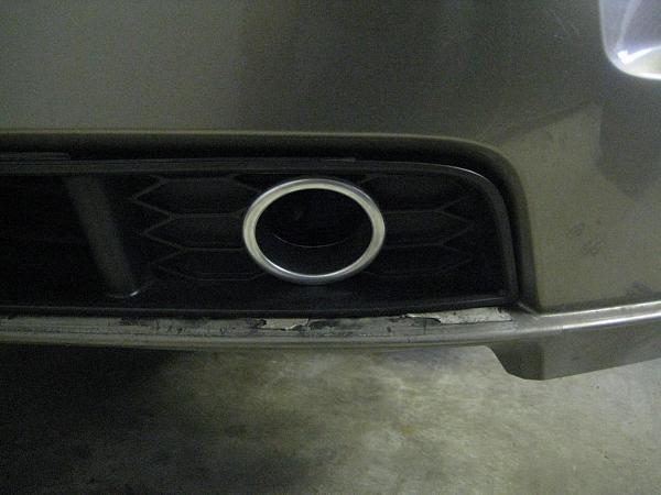 To paint or not to paint-img_6618.jpg