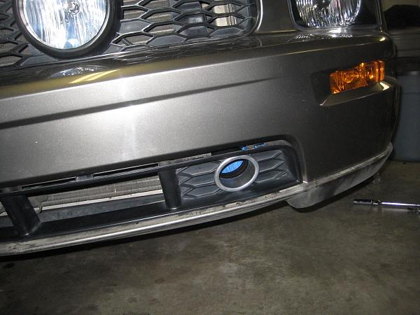 To paint or not to paint-img_6616.jpg