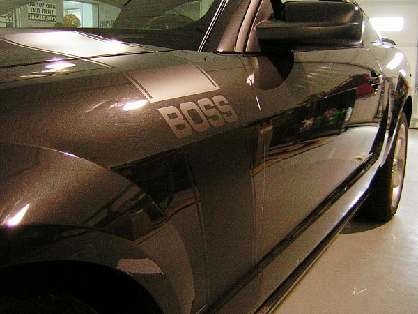 New BOSS stripes installed today..-dscn2564.jpg