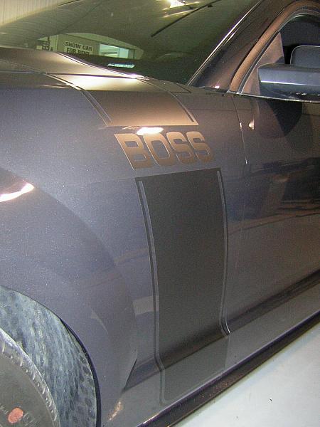 New BOSS stripes installed today..-dscn2563.jpg