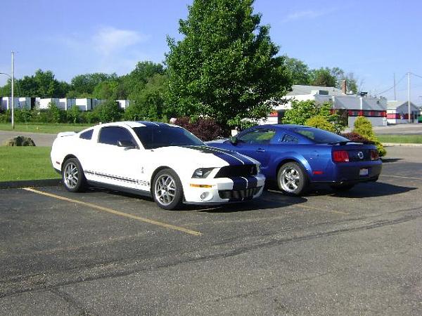 took a gt500 for a ride today...-shelby.jpg