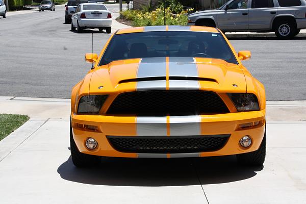 NEW Update TRUFIBER Hood and GT500 ft. end. ----LOTS OF PHOTOS-----photos-068.jpg