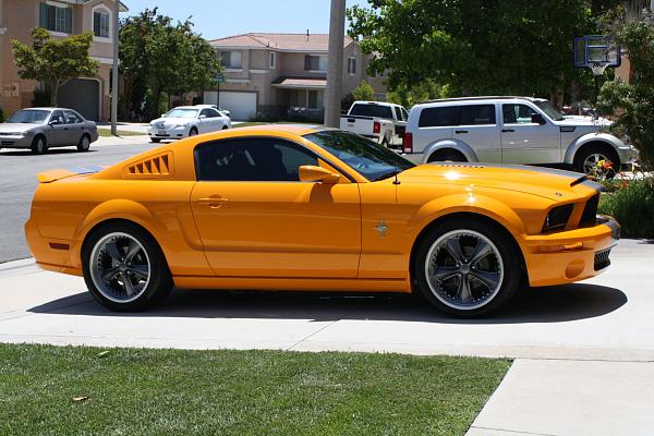 NEW Update TRUFIBER Hood and GT500 ft. end. ----LOTS OF PHOTOS-----photos-071.jpg