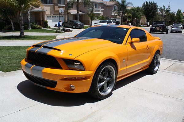 NEW Update TRUFIBER Hood and GT500 ft. end. ----LOTS OF PHOTOS-----photos-073.jpg