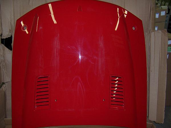 Need GT500KR hood pins.-100_1236.jpg