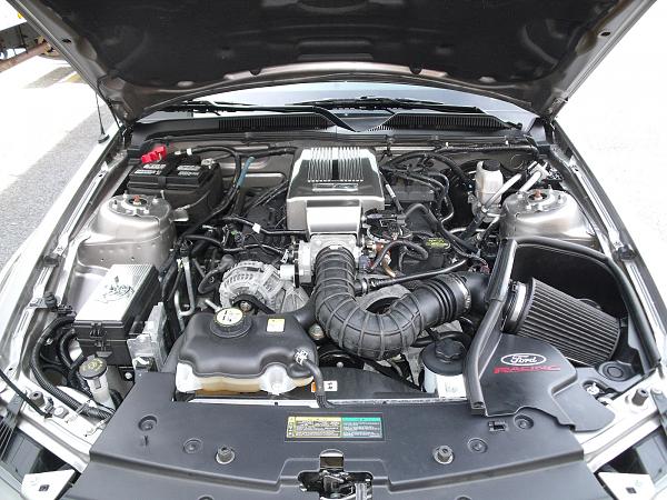 ***SHOW ME YOUR ENGINE BAYS***-mustang-41.jpg
