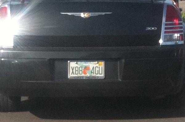 Got HEMI?-got-hemi.jpg