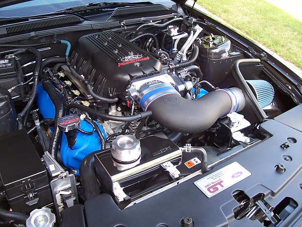 ***SHOW ME YOUR ENGINE BAYS***-blue-valve-covers-smoked-lenses-004.jpg