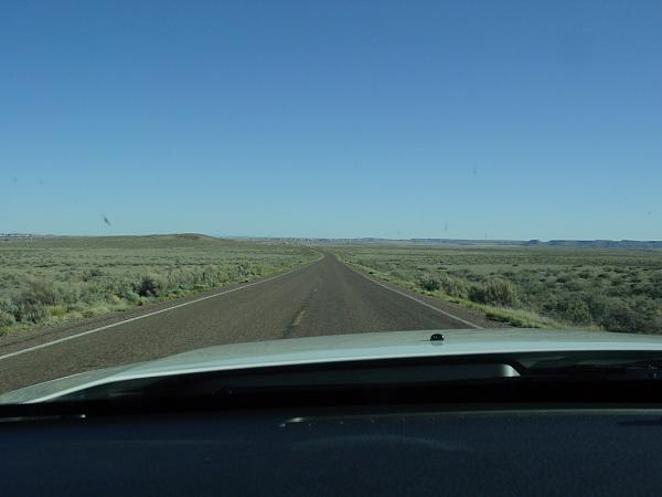 Where has your Mustang been...PIC THREAD-hwy260az.jpg