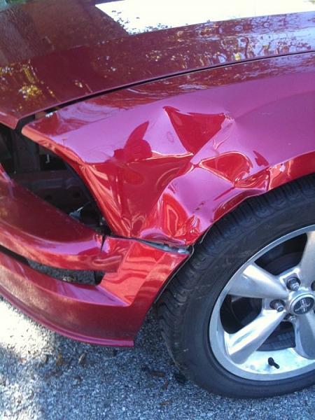 Mustang vs Deer - Any Great Body Shops In Pittsburgh Area-deer-hit.jpg