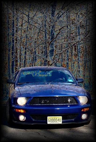 Time to boot my Mustang.-angie-editedbig-large-.jpg
