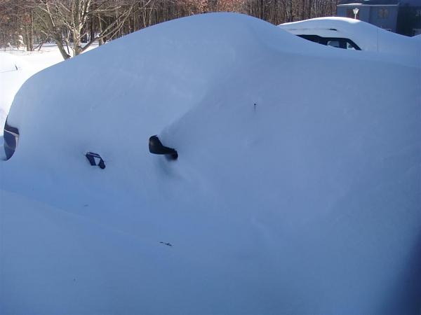 Time to boot my Mustang.-dsc04163.jpg