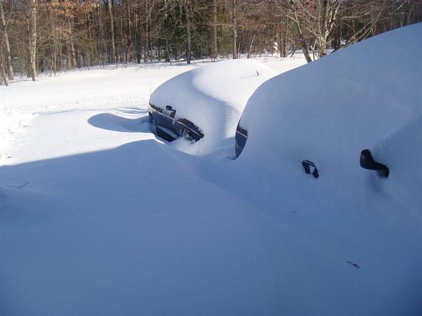 Time to boot my Mustang.-dsc04164.jpg