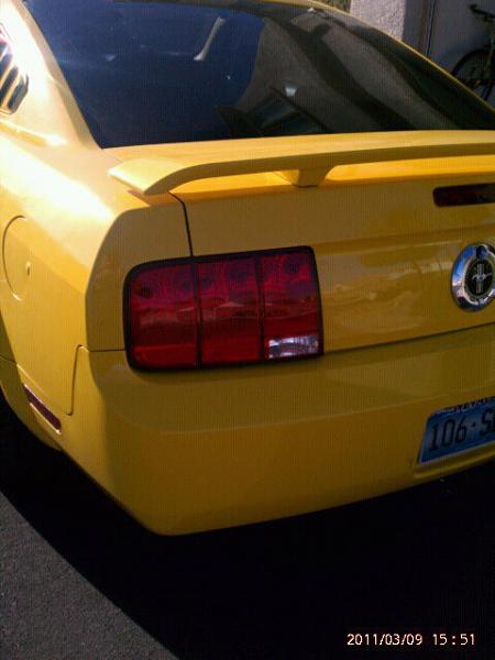 tinted fogs heads and turns ?-185708_1814422516529_1119033947_32089593_761491_n.jpg