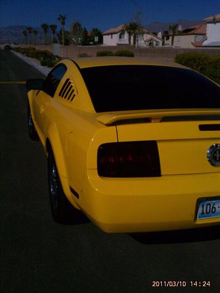 tinted fogs heads and turns ?-184286_1814424516579_1119033947_32089598_2380050_n.jpg