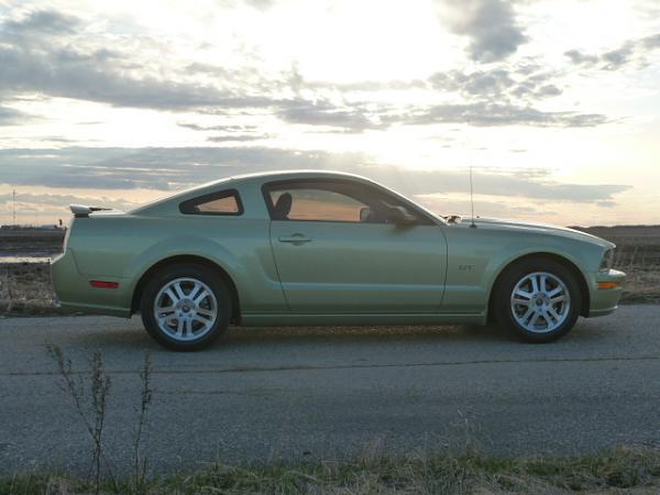 Thinking about owning a Mustang - New member question-p1000542.jpg