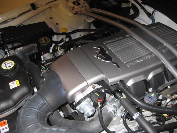 Plenum cover color?-img_0217.jpg