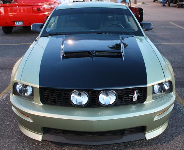 any pics of a gt/cs front bumper without a painted bottom lip?-img_0208.jpg
