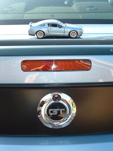 New Mini Me!-600-rear.jpg