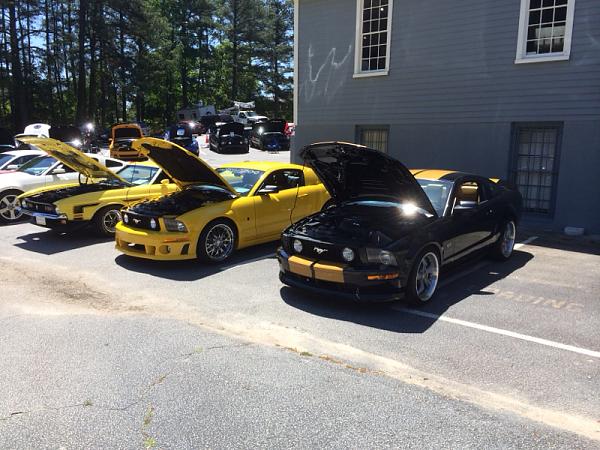 Mustangs at the Mountain - May 3rd 2014 - Stone Mountain / Atlanta (GA)-image-2966344863.jpg