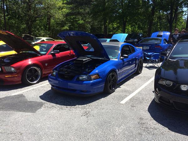 Mustangs at the Mountain - May 3rd 2014 - Stone Mountain / Atlanta (GA)-image-899834942.jpg