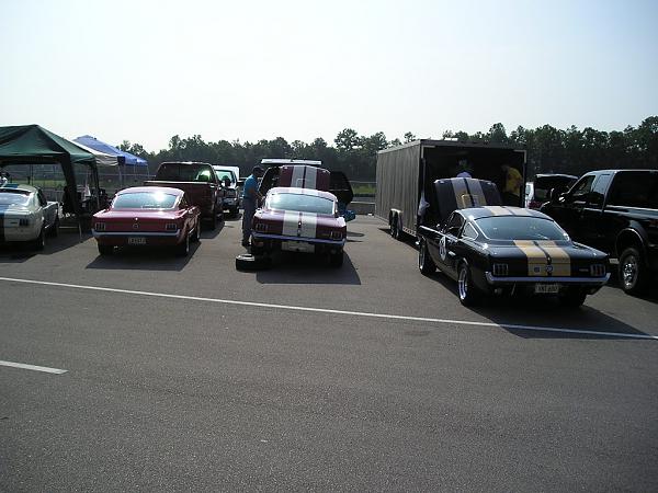 Pictures from the MCA Show in Birmingham-p1010768.jpg