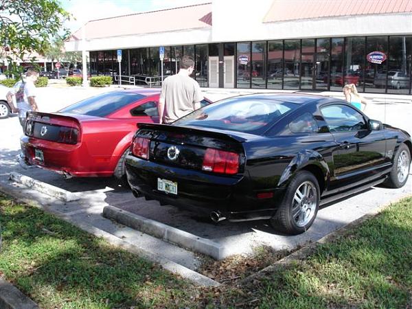 How cool is this?-dsc02512.jpg