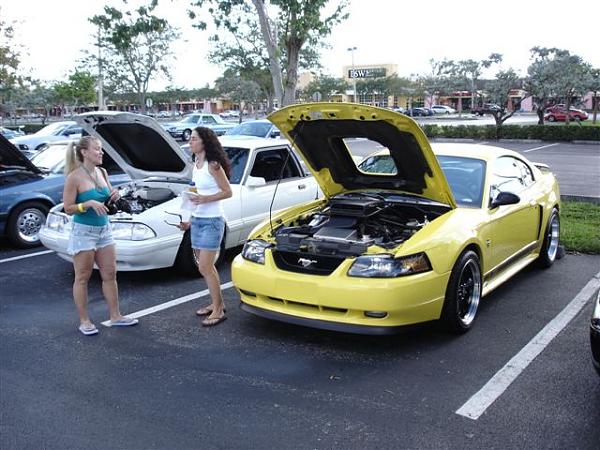 How cool is this?-dsc02517.jpg