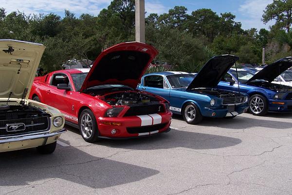 25th Annual Mustang, Shelby &amp; Ford Roundup - Tampa, FL - October 14, 2006-100_2457_800forum.jpg