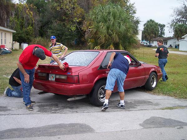 Stang parade pictures-stangs11.jpg