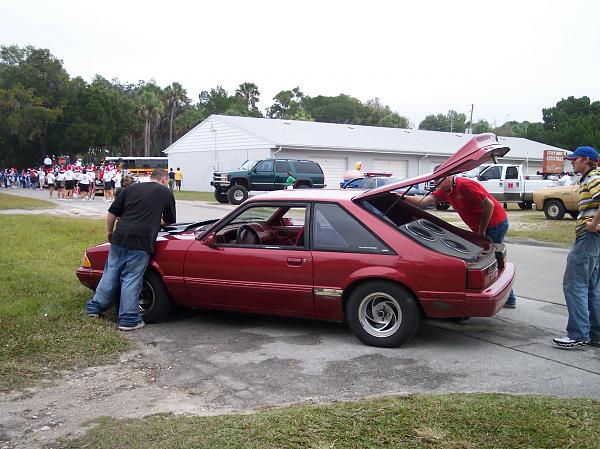 Stang parade pictures-stangs13.jpg