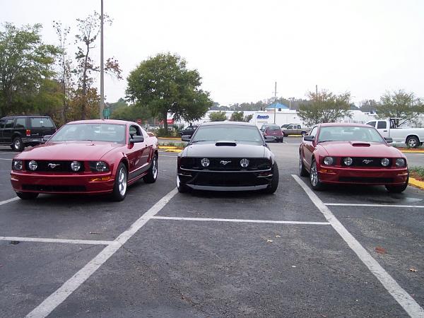 Stang parade pictures-stangs3.jpg