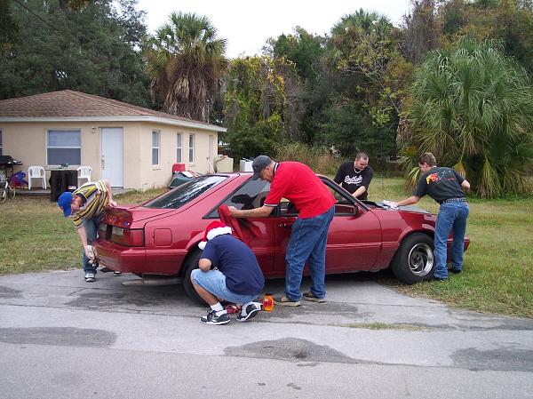 Stang parade pictures-stangs14.jpg