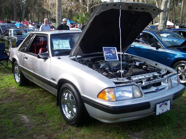 JT's pics: Silver Springs-spring13.jpg