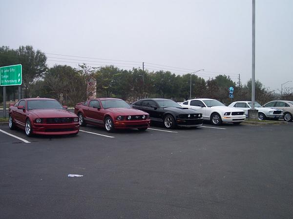 JT's pics: Silver Springs-spring21.jpg