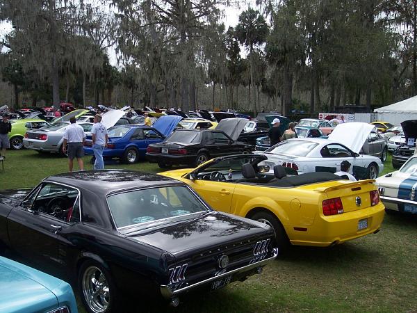 JT's pics: Silver Springs-spring24.jpg