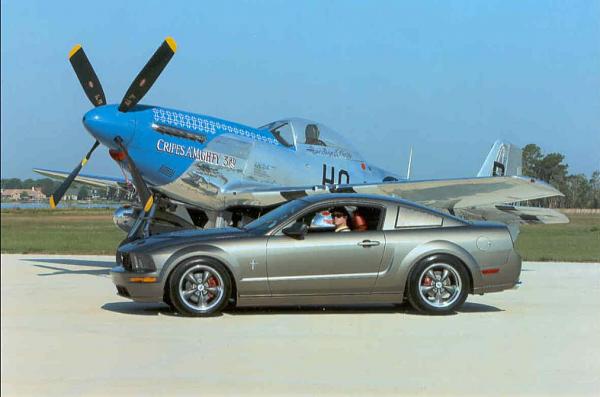 Fantasy of Flight - April 14th!-dave_p51.jpg