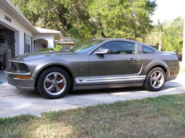 You thought Birmingham was hot?  Try Daytona in June 07 for Super Stang Fest!!-p4030020_c.jpg