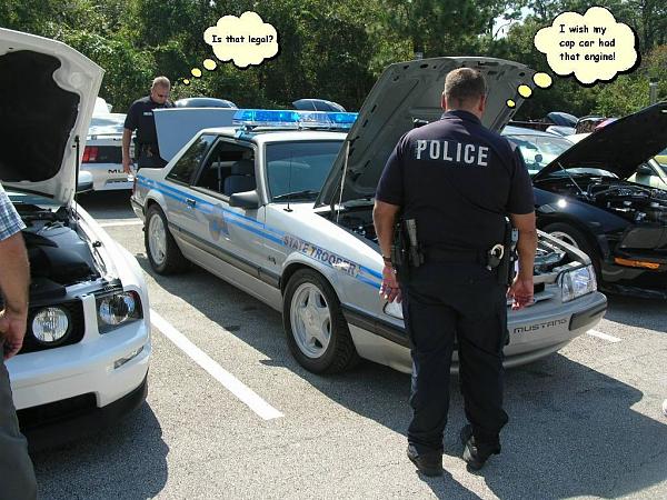 26th Annual Mustang, Shelby &amp; Ford Roundup - Tampa, FL - October 13, 2007-dscn6274b.jpg