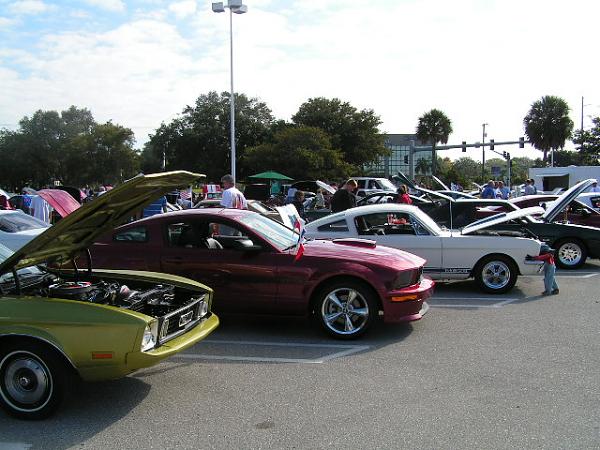 16th Annual Super Sunday Photos/ Sarasota-picture-212.jpg