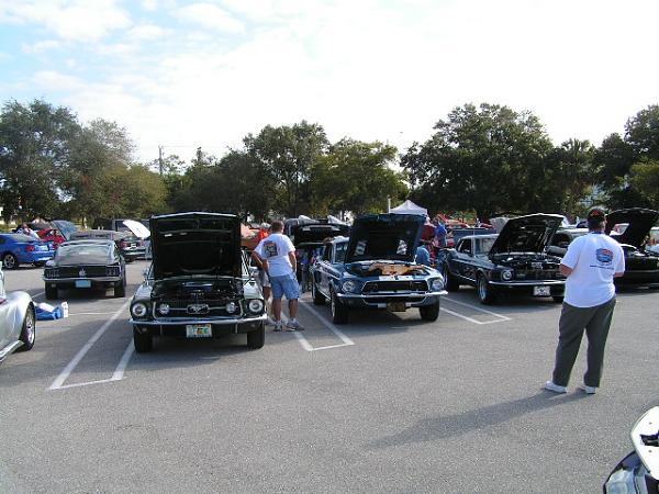 16th Annual Super Sunday Photos/ Sarasota-picture-214.jpg